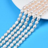 Natural Cultured Freshwater Pearl Beads Strands, Rice, Seashell Color, 7.5~11x6.5~7mm, Hole: 0.8mm, about 40~42pcs/strand, 13.58 ~14.29''(34.5cm~36.3cm)(PEAR-N012-06T)