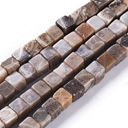 Natural Fossil Coral Beads Strands, Cube, 4~4.5x4~4.5x4~4.5mm, Hole: 0.8mm, about 96pcs/strand, 15.75 inch(40cm)(G-D0020-13B)