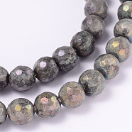 Electroplate Natural Labradorite Round Bead Strands, Faceted, 6mm, Hole: 1mm, about 62pcs/strand, 14.9 inch(G-L377-36-6mm)