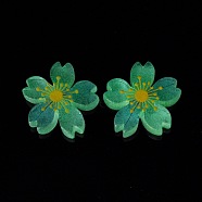 Luminous Resin Cabochons, 5-Petal Flower/Sakura, Pale Turquoise, 26x5mm(RESI-G030-01D)