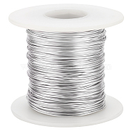 Custom Round Aluminum Wire, Platinum, 18 Gauge, 1mm, about 196.85 Feet(60m)/Roll(AW-WH0002-15C-P)