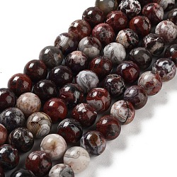 Natural Mexican Red Laguna Lace Agate Round Beads Strands, 10mm, Hole: 1.2mm, about 38pcs/strand, 15.16''(38.5cm)(G-NH0005-A31-02)