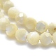 Natural White Shell Beads(G-O171-09-6mm)-3