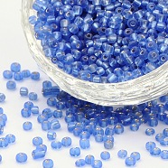 6/0 Round Silver Lined Round Hole Glass Seed Beads, Blue, 4mm, Hole: 1.5mm, about 496pcs/50g(X-SEED-A005-4mm-26)