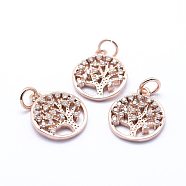 Brass Micro Pave Cubic Zirconia Charms, Flat Round with Tree of Life, Rose Gold, 15x12.5x2mm, Hole: 3mm(ZIRC-L070-06RG)