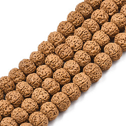 Undyed Natural Rudraksha Beads, Lead Free, Round, Camel, 9~10x7~8mm, Hole: 1mm, about 122pcs/strand, 17.72 inch(45cm)(WOOD-Q047-01A-01)