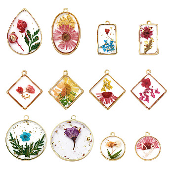 12Pcs 12 Styles Transparent Clear Epoxy Resin Pendants,  Geometric Charms with Inner Flower, with Edge Golden Plated Brass Loops, Mixed Shapes, Mixed Color, 22~35x19~30x3~7mm, Hole: 1.4~2.5mm, 1pc/style