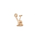 Brass Micro Pave Cubic Zirconia Charms(KK-TAC0004-04Y)-1