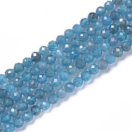 Natural Apatite Beads Strands, Faceted, Round, 2~2.5x2mm, Hole: 0.2mm, about 158~205pcs/strand, 15.7~16.7 inch(40~42.5cm)(G-F596-29-2mm)