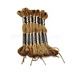 Polyester Embroidery Floss, Cross Stitch Threads, Dark Khaki, 1mm, about 8.75 Yards(8m)/Bundle(OCOR-TAC0013-10A-115)