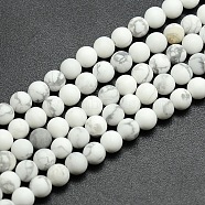 Frosted Howlite Round Bead Strands, 10mm, Hole: 1mm, about 37~39pcs/strand, 14.9~15.6 inch(G-M064-10mm-12)