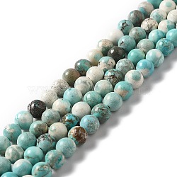 Natural Magnesite Beads Strands, Dyed & Heated, Round, Turquoise, 6~6.5mm, Hole: 1.2mm, about 65pcs/strand, 15.63''(39.7cm)(G-L555-02B-02)