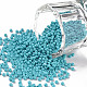 11/0 Grade A Baking Paint Glass Seed Beads(X-SEED-N001-A-1016)-1