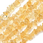 Chip Natural Citrine Beads Strands, Dyed & Heated, 5~8x5~8mm, Hole: 1mm, 80~81cm(G-N0134-21)