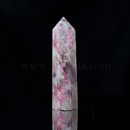 Natural Plum Blossom Tourmaline Pointed Prism Bar Home Display Decoration, Healing Stone Wands, for Reiki Chakra Meditation Therapy Decos, Faceted Bullet, 40~50mm(G-PW0007-101C)
