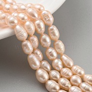 Natural Cultured Freshwater Pearl Beads Strands, Rice, Grade 2A, Light Coral, 6~7mm, Hole: 0.6mm, about 18~20pcs/strand, 6.30''~6.69''(16~17cm)(PEAR-P062-08F)