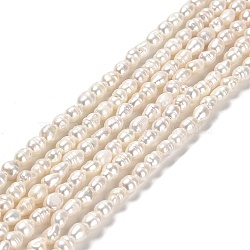 Natural Cultured Freshwater Pearl Beads Strands, Rice, Grade A+, Old Rose, 4~4.5x3~3.5mm, Hole: 0.5mm, about 80~81pcs/strand, 13.78''(35cm)(PEAR-E016-144)