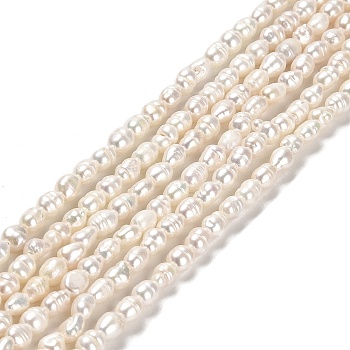 Natural Cultured Freshwater Pearl Beads Strands, Rice, Grade A+, Old Rose, 4~4.5x3~3.5mm, Hole: 0.5mm, about 80~81pcs/strand, 13.78''(35cm)