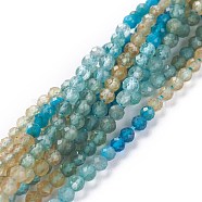 Natural Blue Yellow Green Apatite Beads Strands, Round, Micro Faceted, 3mm, Hole: 0.7mm, about 123pcs/strand, 15.35inch(39cm)(G-A026-A11-3mm)