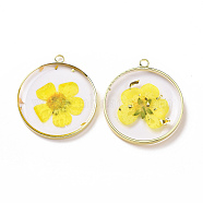 Transparent Clear Epoxy Resin Pendants, with Edge Golden Plated Brass Loops and Gold Foil, Flat Round Charms with Inner Flower, Yellow, 33.8x30x4mm, Hole: 2.5mm(RESI-L036-12G-02)