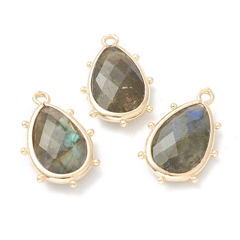 Natural Labradorite Pendants, with Golden Brass Edge, Faceted, Teardrop, 22.5x14x5.5mm, Hole: 1.6mm