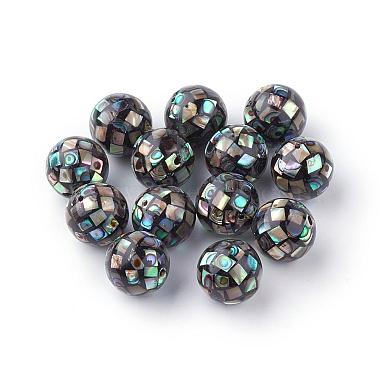 Natural Paua Shell Beads(SSHEL-Q298-16mm-09)-1