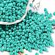 Baking Paint Glass Seed Beads(SEED-H002-I-B507)-1