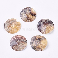 Mother of Pearl Buttons, Akoya Shell Button, Flat Round, Camel, 25.5x1mm, Hole: 1.5mm(X-BSHE-K012-10A)