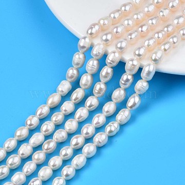 Natural Cultured Freshwater Pearl Beads Strands, Rice, Seashell Color, 7.5~11x6.5~7.5mm, Hole: 0.8mm, about 40~42pcs/strand, 13.58 inch~14.29 inch(34.5cm~36.3cm)(PEAR-N012-06C)