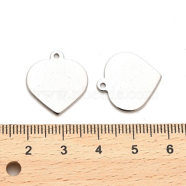 Non-Tarnish Stainless Steel Pendants(STAS-L276-01P-06)-3