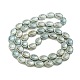 perles en verre plaquent brins(EGLA-G037-13A-FP01)-2
