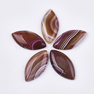 Natural Brazilian Agate Cabochons, Dyed, Horse Eye, Saddle Brown, 38~40x19~20x6~7mm(G-S349-24C)
