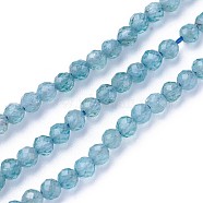 Natural Apatite Beads Strands, Faceted, Round, Cadet Blue, 3~3.5mm, Hole: 0.5mm, about 115~130pcs/strand, 14.5~16.1 inch(37~41cm)(G-F619-13A-3mm)