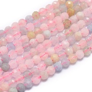 Natural Morganite Beads Strands, Faceted, Round, 4mm, Hole: 0.8mm, about 91pcs/strand, 15.7 inch(40cm)(G-G792-32A)