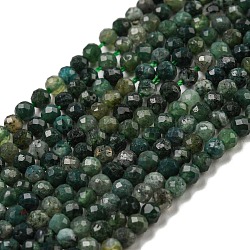 Natural Moss Agate Beads Strands, Faceted, Round, 3mm, Hole: 0.7mm, about 123~130pcs/ strand, 15.7 inch(X-G-K020-3mm-32)