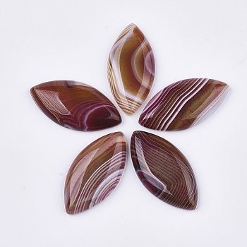 Natural Brazilian Agate Cabochons, Dyed, Horse Eye, Saddle Brown, 38~40x19~20x6~7mm