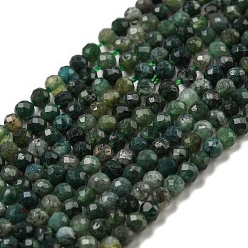Natural Moss Agate Beads Strands, Faceted, Round, 3mm, Hole: 0.7mm, about 123~130pcs/ strand, 15.7 inch