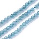 Natural Apatite Beads Strands(G-F619-13A-3mm)-1