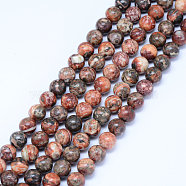 Natural Leopard Skin Jasper Beads Strands, Round, 6.5mm, Hole: 1mm, about 61pcs/strand, 15.5 inch(39.5cm)(X-G-J358-05-6mm)