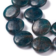 Natural Apatite Beads Strands, Flat Round, 20x6~7mm, Hole: 0.8mm, about 20pcs/strand, 15.75 inch(40cm)(G-H242-04A)