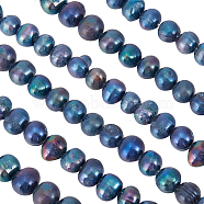 2 Strands Natural Cultured Freshwater Pearl Beads Strands, Dyed, Potato, Dark Slate Blue, 6~8x7~8.5mm, Hole: 0.5mm, about 22pcs/strand, 7.20''(18.3cm)(PEAR-BBC0001-13)