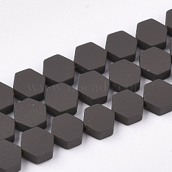 Spray Painted Non-magnetic Synthetic Hematite Beads Strands, Hexagon, Coconut Brown, 6.5x6x2.5mm, Hole: 1mm, about 66pcs/strand, 15.7 inch(G-T116-03B-20)