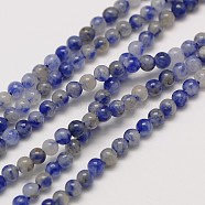 Natural Gemstone Blue Spot Jasper Round Beads Strands, 3mm, Hole: 0.8mm, about 126pcs/strand, 16 inch(X-G-A130-3mm-21)