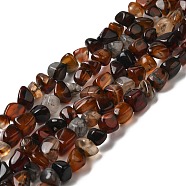 Natural Agate Beads Strands, Nuggets, Tumbled Stone, Dyed & Heated, Saddle Brown, 5~11x5~12x5~11mm, Hole: 1~1.4mm, about 39~50pcs/strand, 14.17~14.96 inch(36~38cm)(G-F745-12)