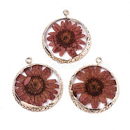 Transparent Clear Epoxy Resin & Dried Flower Pendants, with Edge Light Gold Plated Iron Loops, Flat Round, Sienna, 34x29x3.5mm, Hole: 2mm(RESI-S383-076A-A01)