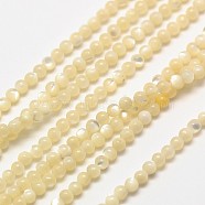 Shell Round Beads Strands, Natural Color, Creamy White, 2mm, Hole: 0.8mm, about 184pcs/strand, 16 inch(X-G-A130-2mm-02)
