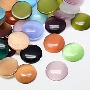 Cat Eye Cabochons, Half Round, Mixed Color, 18x3mm(X-CE-J002-18mm-M)