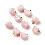 Sparkle Opaque Resin Charms, with Golden Tone Brass Findings, Pearlized, Cat Head, Pink, 11.5x10.5x8mm, Hole: 1.5mm(RESI-E019-01G-03)
