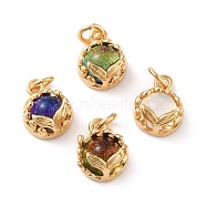 Eco-Friendly Brass Charms, with Glass & Glitter Powder, with Jump Ring, Real 18K Gold Plated, Long-Lasting Plated, Half Round with Fishtail, Mixed Color, 10x7.5x5mm, Jump Ring: 5x0.7mm, Inner Diameter: 3.6mm
(KK-H762-02G)