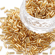 Plated Glass Bugle Beads, Metallic Colours, Goldenrod, 4x2mm, Hole: 1mm, about 14000pcs/Pound(SEED-S046-01A-22B)